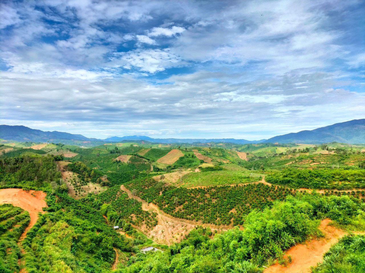 Làm thế nào để tham gia nông nghiệp tuần hoàn