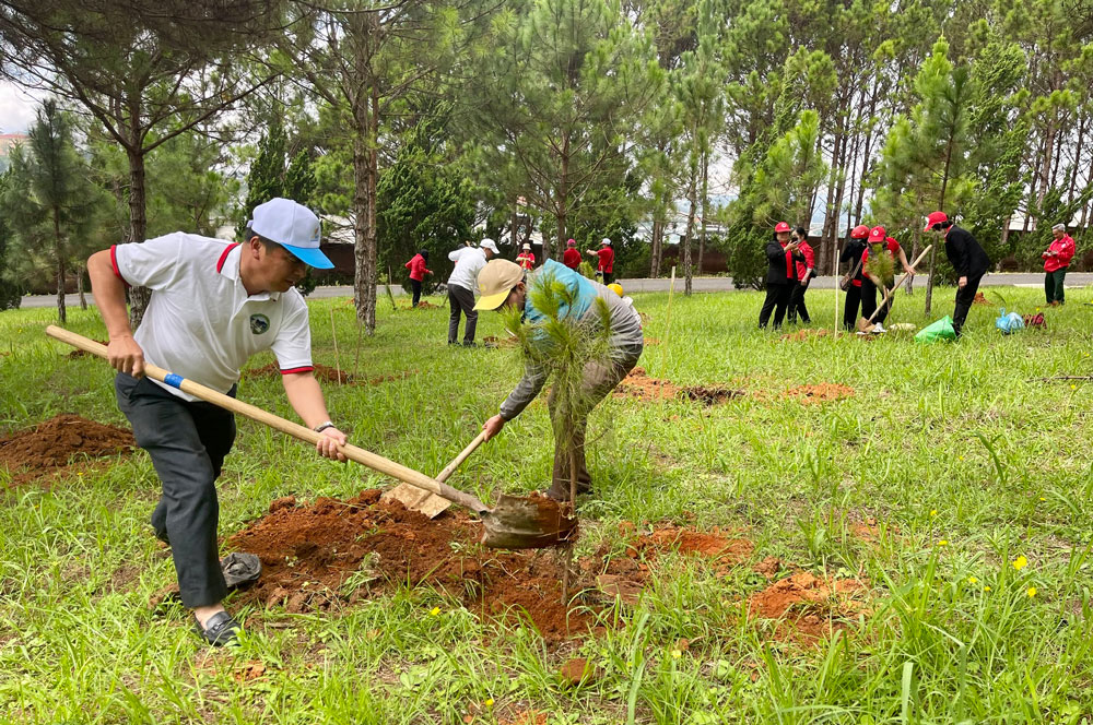 Mọi người cùng tham gia trồng cây nhân Ngày Môi trường Thế giới tại Đà Lạt năm 2023